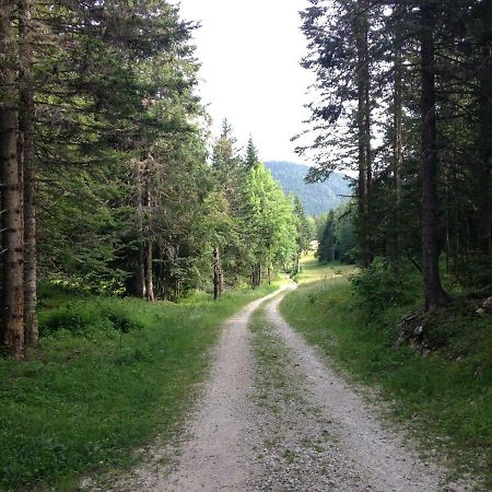 Апартаменти Beau Site Віллар-де-Лан Екстер'єр фото